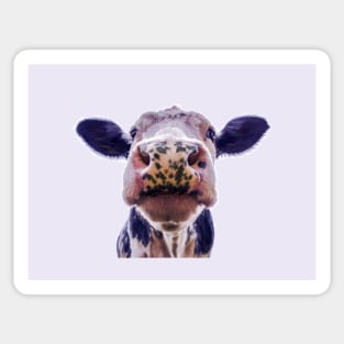 Purple Cow Illustration Sticker